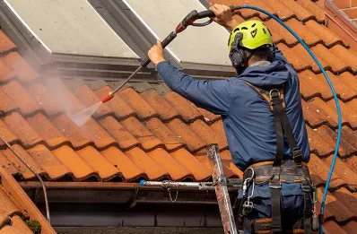 Démoussage et hydrofuge de toiture à Lavoux